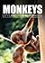 Monkeys - All about Monkeys Children's Picture Book by Little Genius