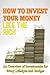 Investment Guide: How To Invest Your Money Wisely (The Ultimate Investing Guide for Beginners) (Smart Investing, Investing for Beginners, How to Invest ... Basics, investment for beginners)