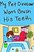 My Pet Dinosaur Won't Brush His Teeth by Sharlene Alexander