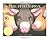 The Three Pigs by David Wiesner