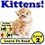 Children's Book: "Kittens! Learn About Kittens While Learning To Read - Kitten Photos And Facts Make It Easy!" (Over 40+ Photos of Kittens)