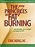 The 7 Principles of Fat Burning by Eric   Berg