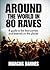 Around the World in 80 Raves: A guide to the best parties and festivals on the planet