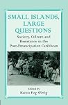 Small Islands, Large Questions (Routledge Studies in Slave and Post-Slave Societies and Cultures) Small Islands, Large Questions (Routledge Studies in Slave and Post-Slave Societies and Cultures)