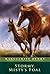Stormy, Misty's Foal by Marguerite Henry