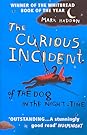 The Curious Incident of the Dog in the Night-Time