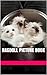 Ragdoll Kitty Cat Picture Book
