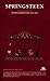 Springsteen. Spare parts. Testi commentati. 1973-2012