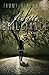 Fragile Brilliance (Shifters & Seers #1)