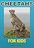 Cheetahs For Kids by Natalie De Marco