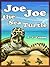 Joe Joe the Sea Turtle