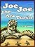 Joe Joe the Sea Turtle by A.J. Cosmo
