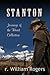 Stanton (Journeys of The Heart Collection)