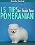 15 Tips to Train Your Pomeranian