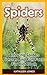 Spiders: Amazing Spiders Pi...