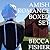 Amish Romance Boxed Set (1-4)