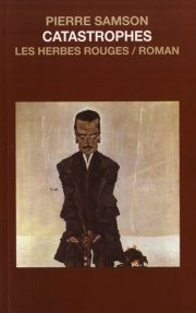 Catastrophes (Paperback)