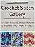 Crochet Stitch Gallery: A Step-by-Step Visual Guide to 35 Stitch Patterns (Tiger Road Crafts)