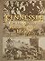 Tennessee Coal Mining, Railroading, & Logging by Jason Duke