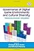 Governance of Digital Game Environments and Cultural Diversity: Transdisciplinary Enquiries