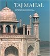 Taj Mahal by Amina Okada