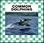 Common Dolphins