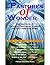 Pastures of Wonder - Inspirational & Thought Provoking Stories for the Christian Spirit