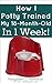 How I Potty Trained My 18-M...