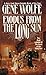 Exodus From The Long Sun: The Final Volume of the Book of the Long Sun