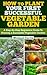 How To Plant Your First Successful Vegetable Garden