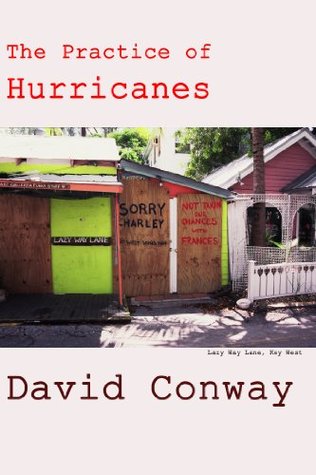 The Practice of Hurricanes (Ways to Be Alive Book 4)