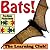Bats! Learn About Bats And Learn To Read - The Learning Club! (45+ Photos of Bats)