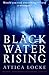 Black Water Rising (Jay Porter #1)