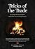Tricks of the Trade - The truth about open fires, multi-fuel stoves and log burners: Stove