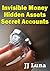 Invisible Money, Hidden Assets, Secret Accounts by J.J. Luna