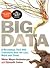 Big Data: A Revolution That Will Transform How We Live, Work, and Think
