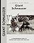 Giant Schnauzer (Comprehensive Owner's Guide)