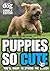 Puppies So Cute You'll Want To Stroke The Screen (Your Dog Magazine So Cute Series Book 1)