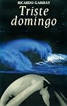 Triste domingo (Novelistas contemporáneos) (Spanish Edition) Triste domingo (Novelistas contemporáneos) (Spanish Edition)