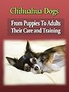 Chihuahua Dogs : ...