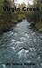 Virgin Creek