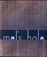 Aspects of Mel's Hole by Doug Harvey