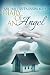 Diary of an Angel by Michael M. Farnsworth Diary of an Angel by Michael M. Farnsworth