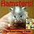 Hamsters! Learn About Hamsters And Learn To Read - The Learning Club! (45+ Photos of Hamsters)