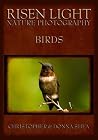 Risen Light Nature Photography of Birds