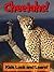 Cheetahs! Learn About Cheet...