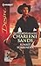 Sunset Surrender (The Slades of Sunset Ranch, #1; Rich Rugged Ranchers #1)