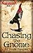 Chasing the Gnome (11 Quests Book 1)