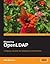 Mastering OpenLDAP: Configuring, Securing and Integrating Directory Services