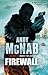Firewall (Nick Stone, #3)